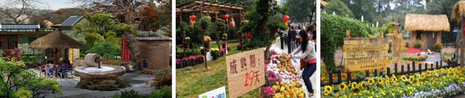 05.jpg